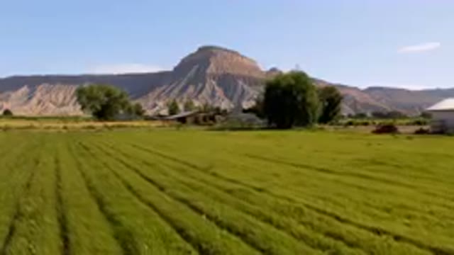 PALISADES COLORADO USA-2023: Tractor Driving Through a Field of Grass