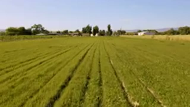 PALISADES COLORADO USA-2023: Field Of Green Grass With A Farm In The Background