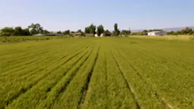 PALISADES COLORADO USA-2023: Field Of Green Grass With A Farm In The Background
