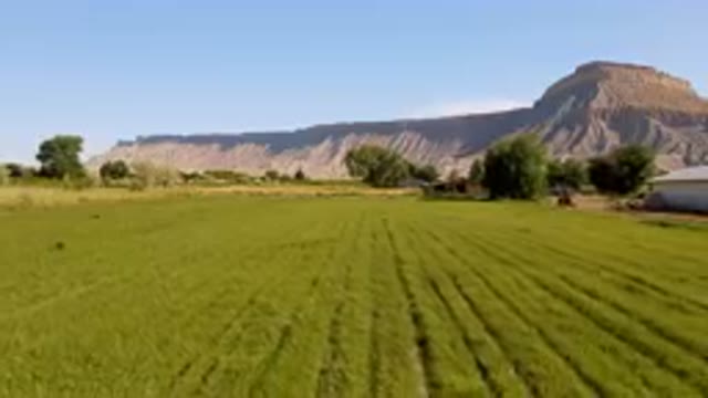 PALISADES COLORADO USA-2023: Field With A Mountain In The Background
