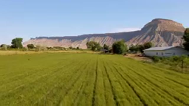 PALISADES COLORADO USA-2023: Field With A White House And A Mountain In The Background