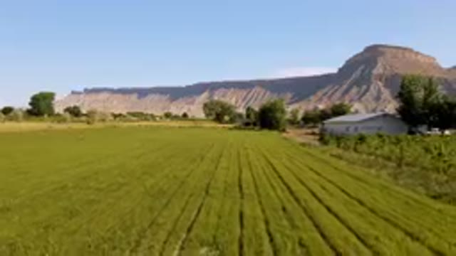PALISADES COLORADO USA-2023: Field With A White Barn And A Mountain In The Background