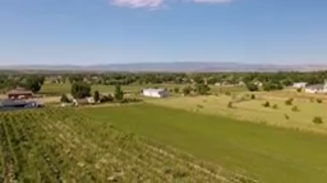 PALISADES COLORADO USA-2023: Farm With A Lot Of Trees