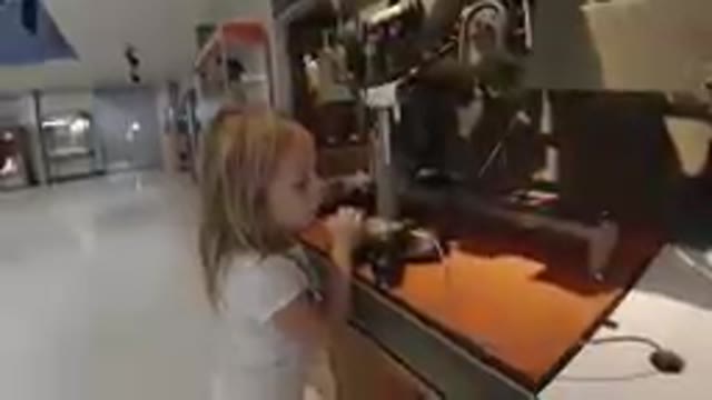 A Curious Little Girl