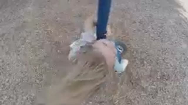 08-03-19-colorado-DJI_0520-_18.mp4