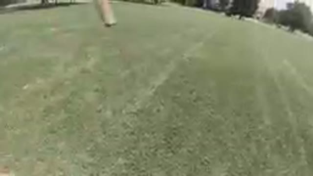 Hand Throwing Stick in Park. Denver, Colorado