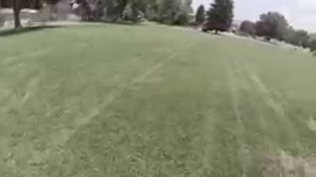 Denver, Colorado: Stick Being Thrown.