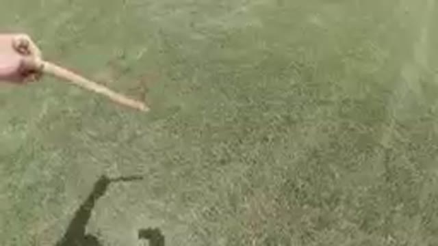 Someone Is Holding A Baseball Bat In Their Hand On A Field