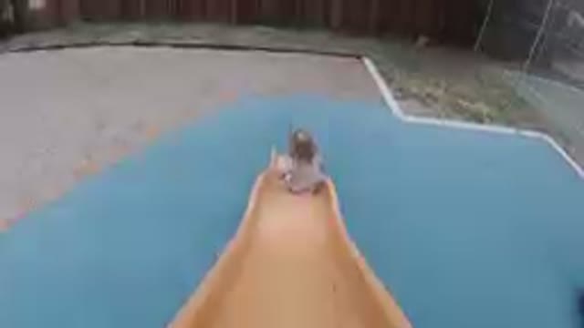 Child Sliding Down A Slide In A Backyard