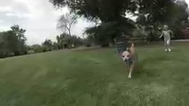 Denver, Colorado-2019, Sept. 24-Dog Running In The Grass With A Girl