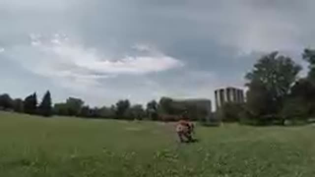 COLORADO UNITED STATES-2019: Drone Flying Low Over Grassy Field