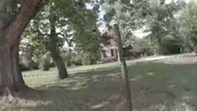 COLORADO, UNITED STATES-2019: A House in the Middle of Forest