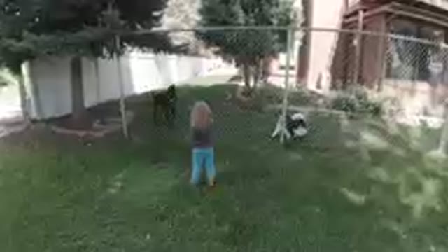 COLORADO, UNITED STATES-2019: Adorable Female Kid Watching Dogs