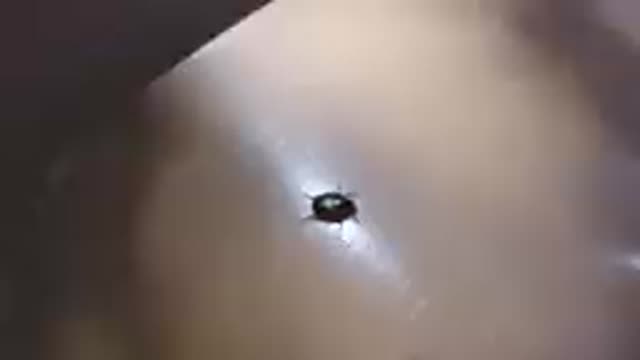 08-10-19-COLORADO-2019-DJI_0753_1_7.mp4