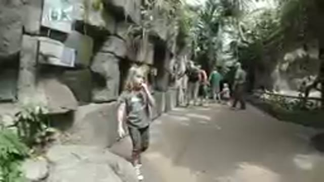 DENVER, COLORADO. SEPTEMBER 29, 2019: LITTLE GIRL WALKING DOWN A PATH IN A ZOO