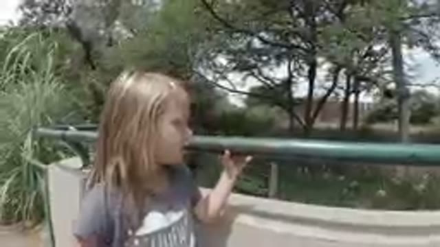 Looking Over A Fence
