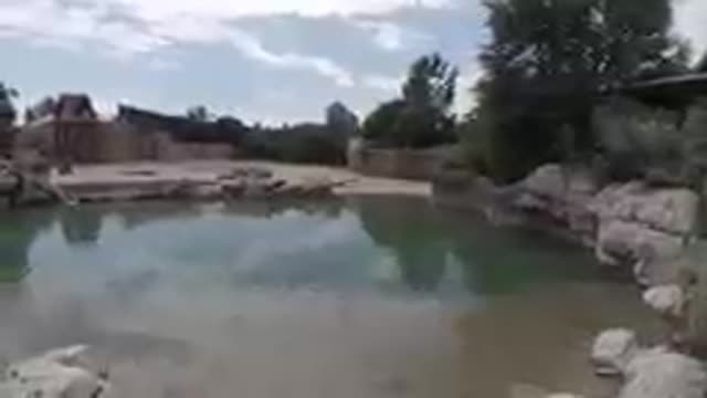 08-11-19-Colorado-2019-DJI_0852_1.mp4