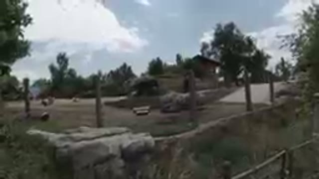 COLORADO, UNITED STATES-2019: Amazing Elephants in Zoo