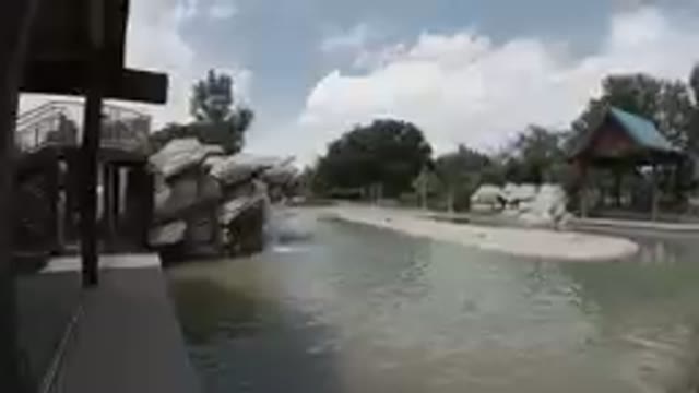 A Beautiful Fountain in the Zoo