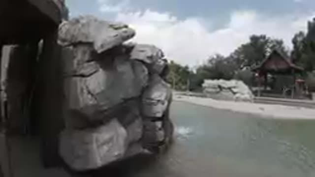 A Man-made Beautiful Fountain at the Zoo