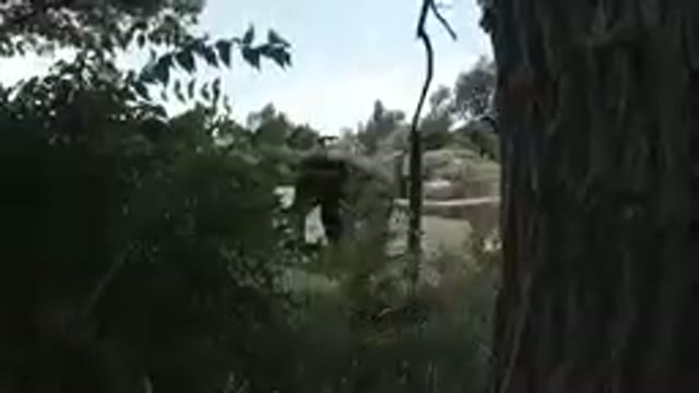 COLORADO, UNITED STATES-2019: At the Zoo - Two Big Elephants in View