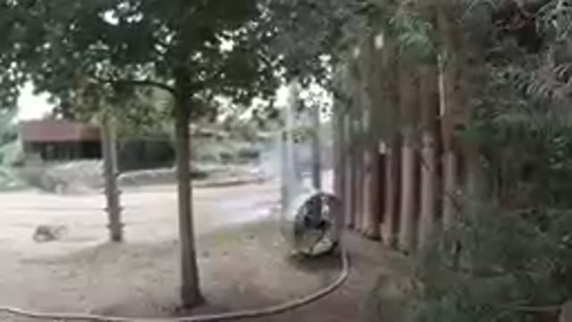 Circular Cooling Fan in the Zoo