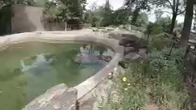 COLORADO, UNITED STATES-2019: A Beautiful Garden Park in the Zoo