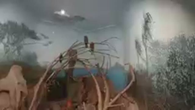 COLORADO, UNITED STATES-2019: At the Zoo - A Beautiful Bird Viewing Room