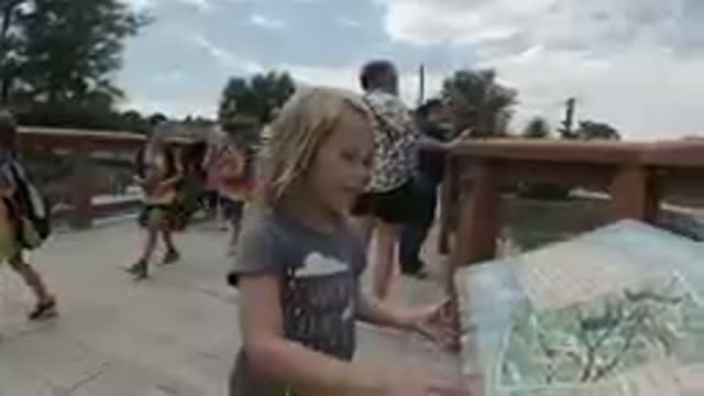 At the Zoo - Little Girl Reads InfoBoard