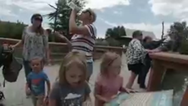 COLORADO, UNITED STATES-2019: At the Zoo - Kids Reading InfoBoards