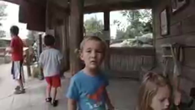 COLORADO, UNITED STATES-2019: At the Zoo - The Wondering Little Boy