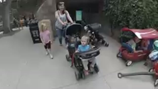 At the Zoo - Mom Strolling her Children