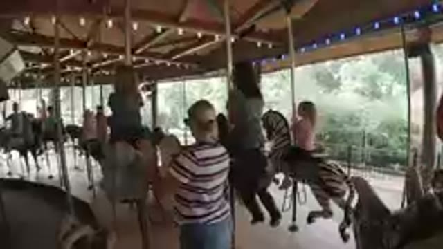 Amusement Park - Merry Carousel Ride
