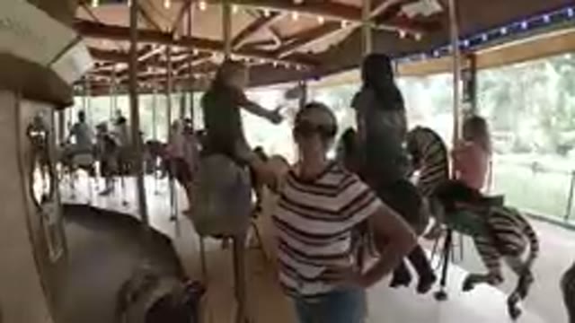 Amusement Park - Mother & Daughter in a Carousel