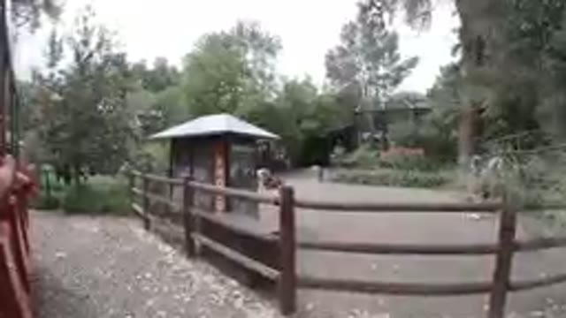 COLORADO, UNITED STATES-2019: The Forest Park - Photo Booth