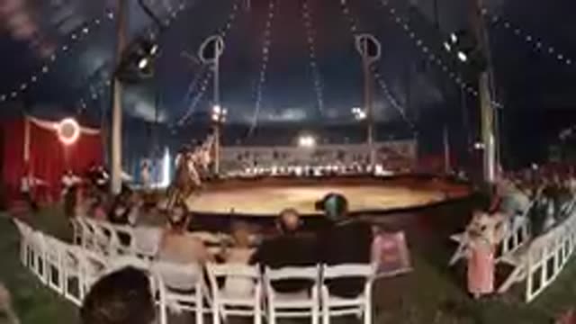 COLORADO UNITED STATES-2019: Circus Performer Riding Horse Under Tent