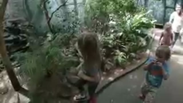 At the Zoo - Exploring the Butterfly Sanctuary