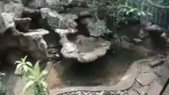 COLORADO, MEXICO-2019: Beautiful Pond Inside A Butterfly Sanctuary