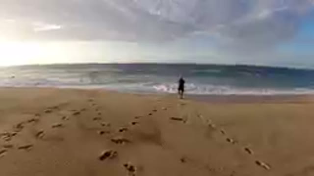 LOS CABOS, MEXICO-2019: A Beautiful Fishing Day