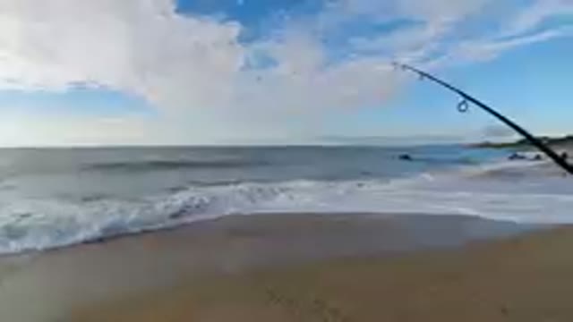 LOS CABOS, MEXICO-2019: Ocean Fishing