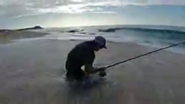 Los Cabos Mexico-2019: Man Digs Deep Fishing in Beach Sand