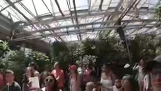 People Inside a Butterfly Sanctuary