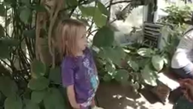 Little Girl Observing