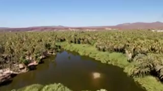 SAN IGNACIO BCS MEXICO-2023: River Surrounded By Palm Trees And Mountains