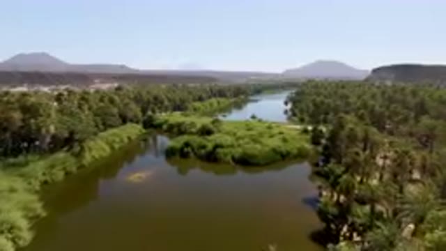 SAN IGNACIO BCS MEXICO-2023: River Surrounded By Palm Trees And Mountains