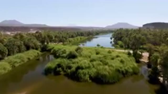 SAN IGNACIO BCS MEXICO-2023: River With A Road And Palm Trees