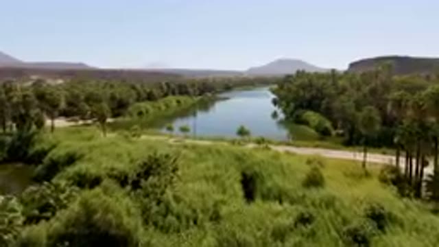 SAN IGNACIO BCS MEXICO-2023: River With A Road And Palm Trees