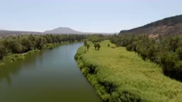 SAN IGNACIO BCS MEXICO-2023: River With A Green Bank And Trees