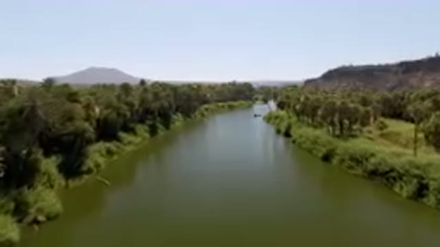 SAN IGNACIO BCS MEXICO-2023: Boat On A River Surrounded By Palm Trees And