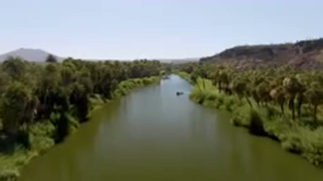 SAN IGNACIO BCS MEXICO-2023: River With A Boat In It Surrounded By Palm Trees